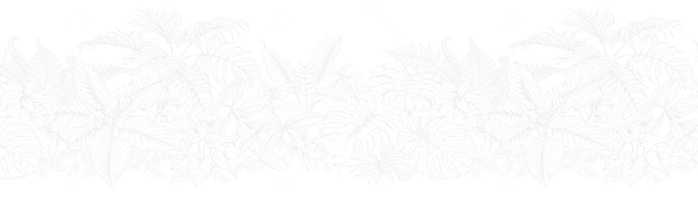 fondo catalogo min